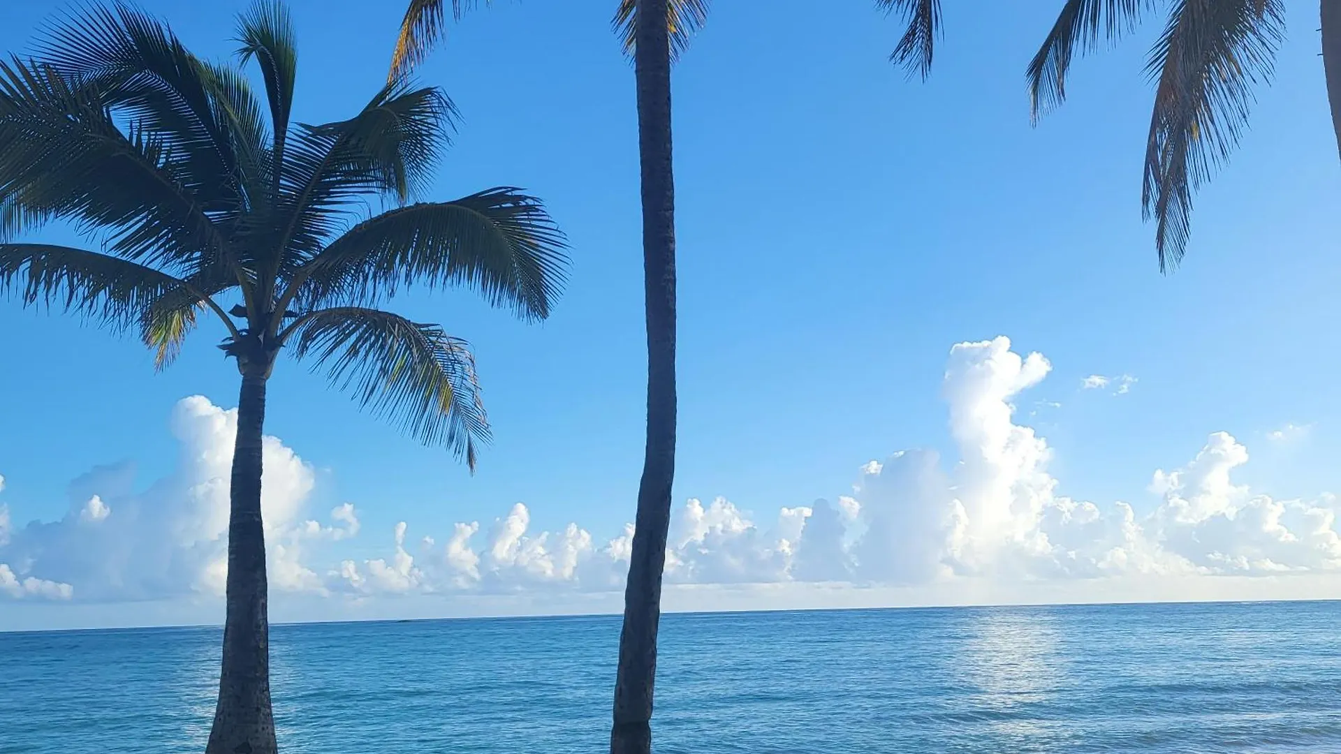 Cozybeach Large 1Bdrapt 50 Steps From Atlantic Ocean Private Street Between Ocean Park & Isla Verde 5 Mins From Airport San Juan 0*,  Puerto Rico